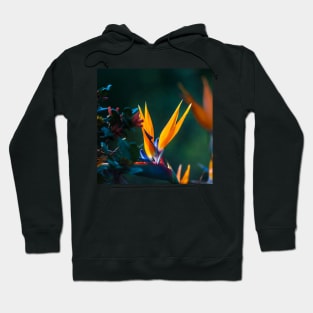 Bright Flowering Strelitzia Hoodie